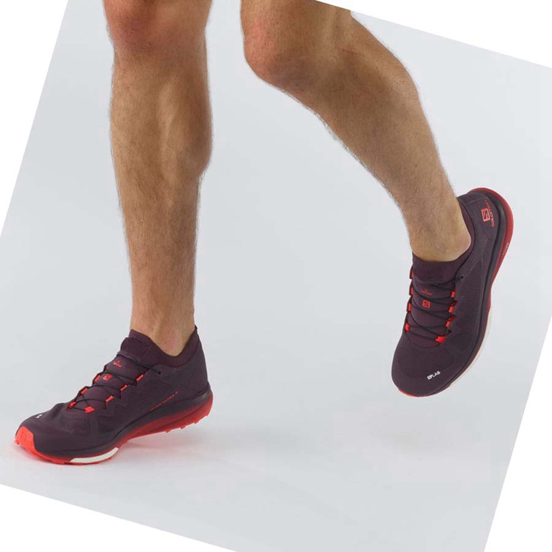 Trailove Bezecke Tenisky Salomon S/LAB ULTRA 3 Damske Nachový | CZIHYMX-49