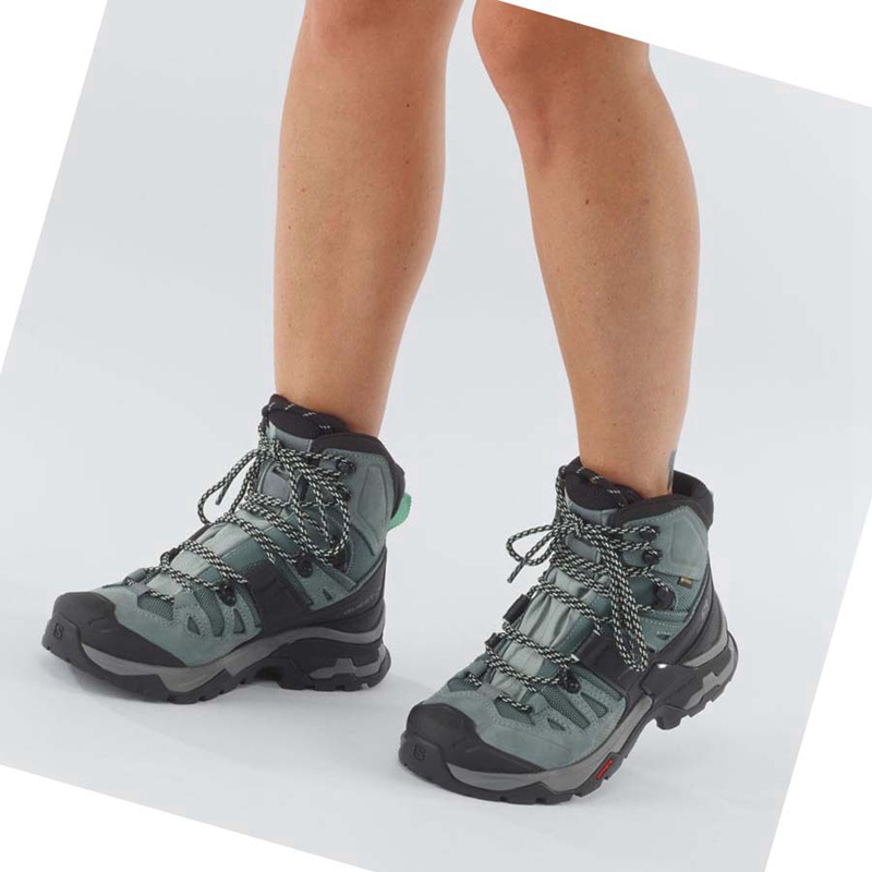 Turisticke Topanky Salomon WoQUEST 4 GORE-TEX Damske Modre | QAXPJKG-32